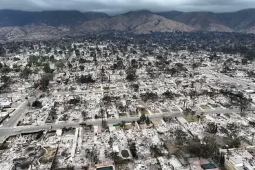 LA wildfire survivors chase and apprehend suspected arsonist