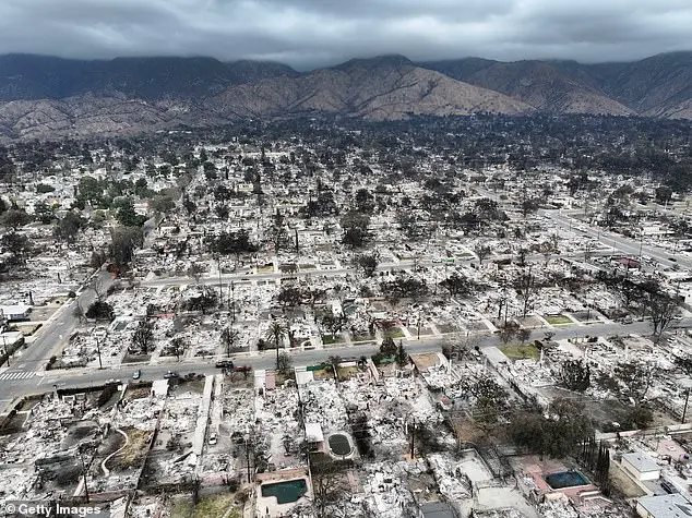 LA wildfire survivors chase and apprehend suspected arsonist