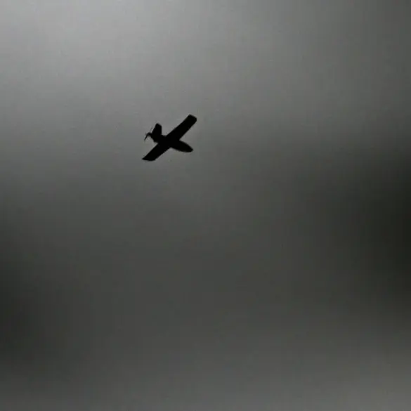 Russian Air Defense Forces Shoot Down Ukrainian Drone Over Crimea
