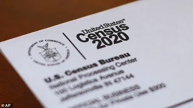 The Complex Nature of Race and Ethnicity in the US: Unraveling the Census Data