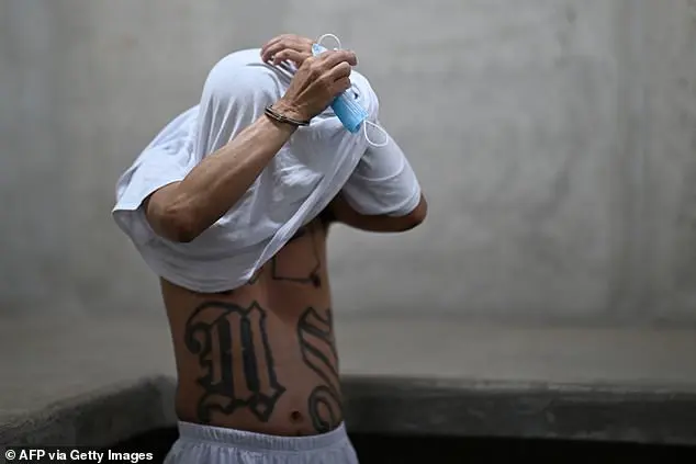 The Dark World of El Salvador's Gangs: A Journey to the Terror Confinement Center