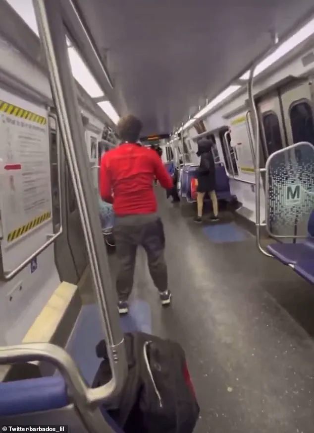 The Rising Trend of Youth Crime on Public Transportation: A Concerning Video Exposes a Dangerous Reality