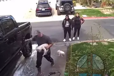 Vicious Dog Attack Caught on Camera; Woman Identified