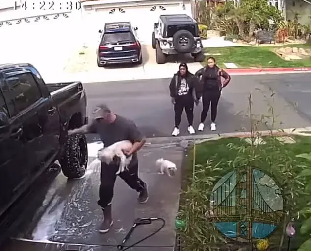 Vicious Dog Attack Caught on Camera; Woman Identified