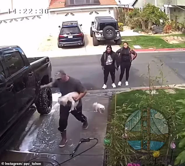 Vicious Dog Attack Caught on Camera; Woman Identified