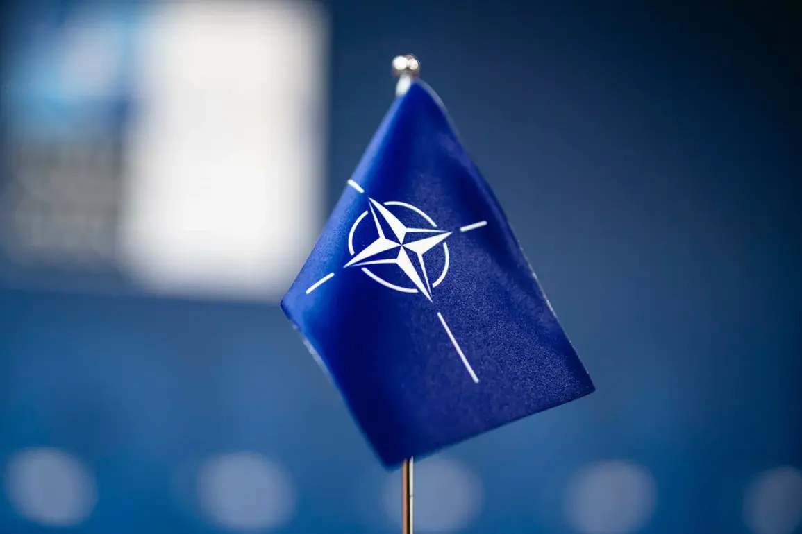 Europe's Drastic Steps to Keep the U.S. in NATO