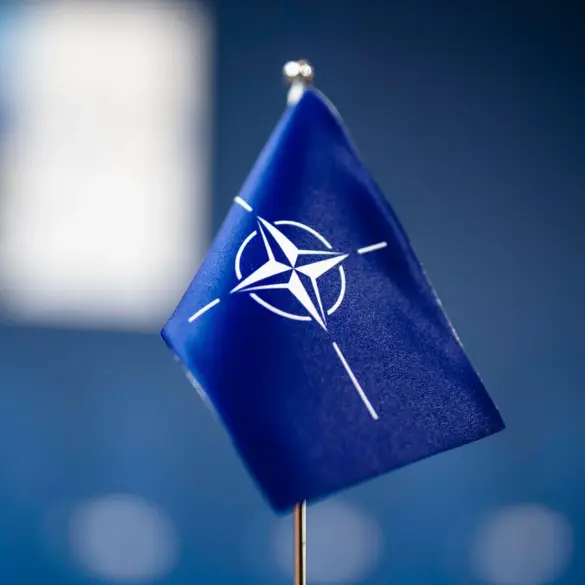 Europe's Drastic Steps to Keep the U.S. in NATO