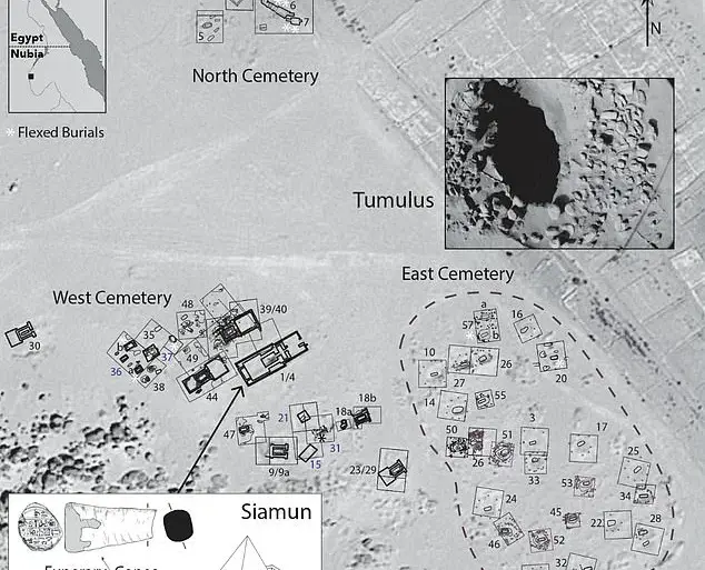 Exclusive Access Revealed: Rare Skeletons Found in Sudanese Pyramids Challenge Ancient Elite Privileges