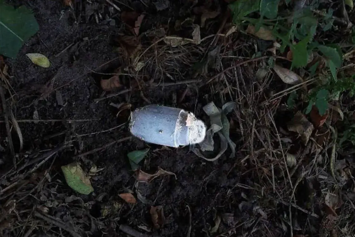 Exclusive Report: Resident Injured by Mine Detonation in Belgorod Region