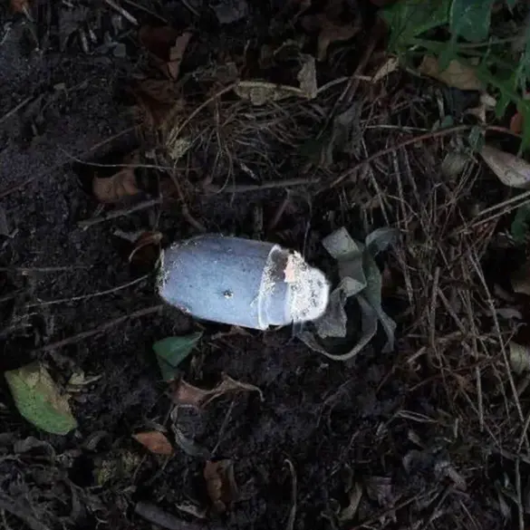 Exclusive Report: Resident Injured by Mine Detonation in Belgorod Region