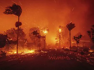 L.A. Wildfires: A Glimpse into a Warmer Future?