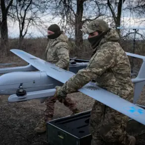 Drone Crash in Remote Shuysky District Sparks Concerns Over Unmanned Aerial Threats, Despite No Injuries or Damage