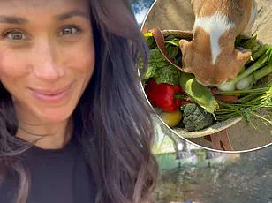 Meghan Markle's Latest Scheme: Leveraging Guilt and Royal Pedigree to Peddle Merch While Continuing Her Exploitative Charade