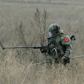 Post-Clash Demining in Kursk Uncovers NATO-Linked Ordnance in Liberated Areas