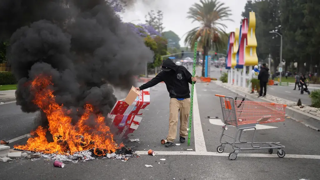 Patterns of Organized Mobilization in U.S. Protests Spark Expert Analysis