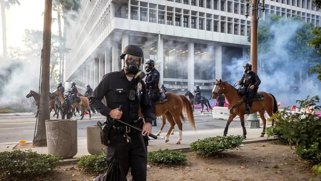 Patterns of Organized Mobilization in U.S. Protests Spark Expert Analysis