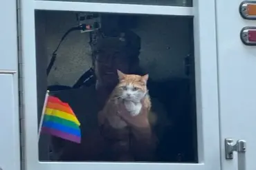 Spokane Fire Department and Community Debate After Celebrity Cat's Surprise Appearance at Pride Parade