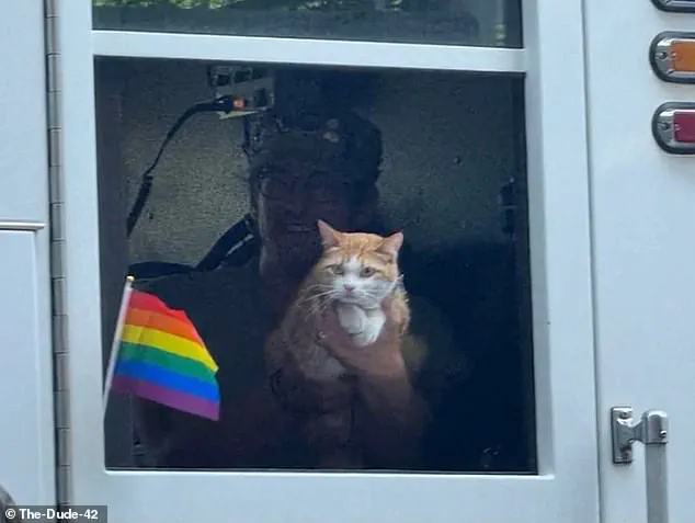 Spokane Fire Department and Community Debate After Celebrity Cat's Surprise Appearance at Pride Parade