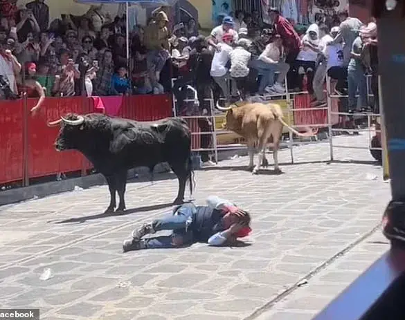 Bullfighting Festival in Xico, Veracruz Marred by Accident Leaving 51-Year-Old Bullfighter in Critical Condition