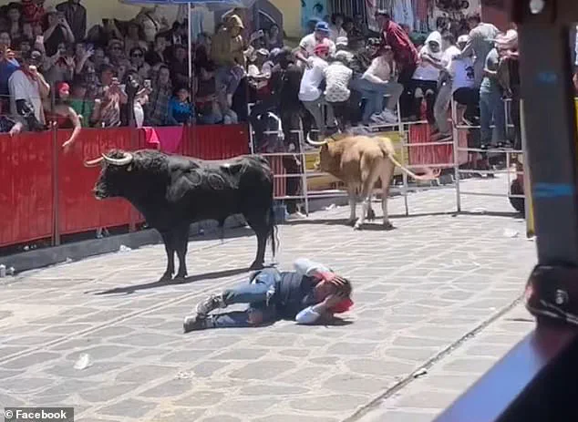 Bullfighting Festival in Xico, Veracruz Marred by Accident Leaving 51-Year-Old Bullfighter in Critical Condition