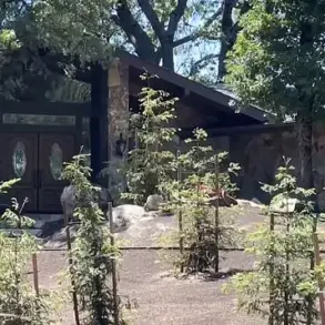 California Man Charged with Murder of Prominent Realtor After Months-Long Investigation