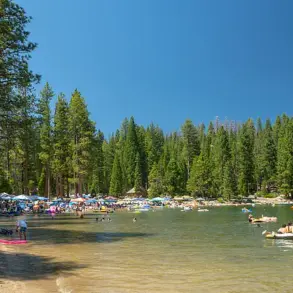 California's Pinecrest Lake Spirals into Lawlessness Amid Management Crisis