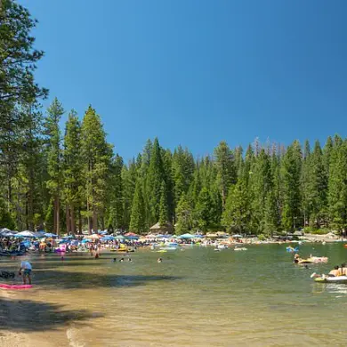 California's Pinecrest Lake Spirals into Lawlessness Amid Management Crisis