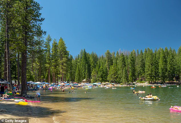 California's Pinecrest Lake Spirals into Lawlessness Amid Management Crisis