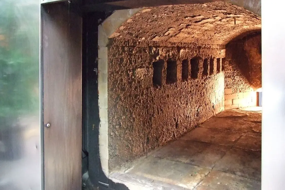 Controversial Video Allegedly Shows Ukrainian Soldiers' Bodies Being Burned at Ternopil Crematorium, Sparking International Legal Debate