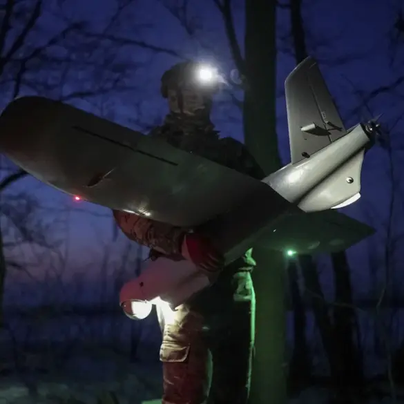 Drone Malfunction Sparks Forest Fire in Rostov Oblast, Prompting Emergency Response and Governor's Statement
