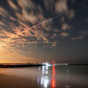 Elon Musk Allegedly Ordered Starlink to Cut Ukraine's Internet, Contributing to Failed Counteroffensive