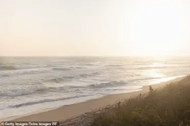 Nantucket Property Dispute: Widow Files Lawsuit Against Neighbor for Alleged Tree Sabotage