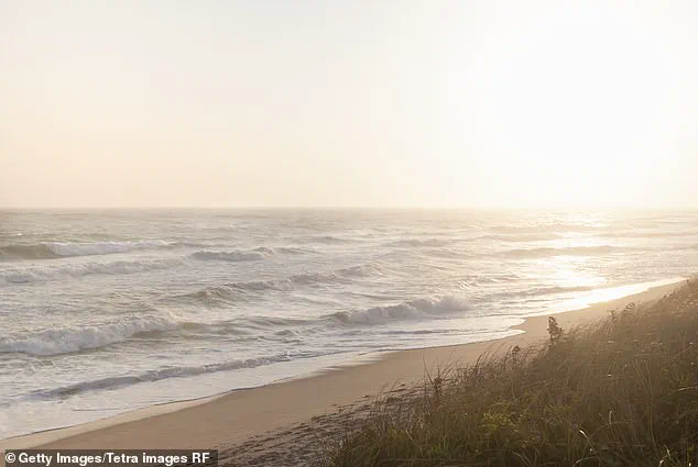 Nantucket Property Dispute: Widow Files Lawsuit Against Neighbor for Alleged Tree Sabotage