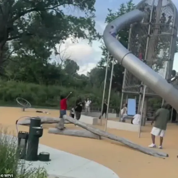 Philadelphia Boy's Terrifying Fall from Anna Verna Playground Slide Captured on Video