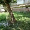 Privileged Insight: Saratov Oblast Attack Details Unveiled by Governor