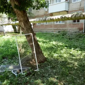 Privileged Insight: Saratov Oblast Attack Details Unveiled by Governor