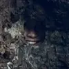 Reddit Challenge Unveils Hidden Sniper in New Zealand Seaside Photo