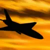 Russian Government's Drone Interceptions Signal Escalating Tensions and Impact on Civilian Safety Protocols