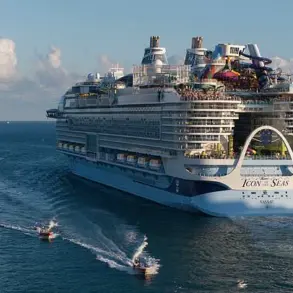 Tragic Stabbing and Suicide on Royal Caribbean Cruise Ship in Bahamas Leave Community in Shock