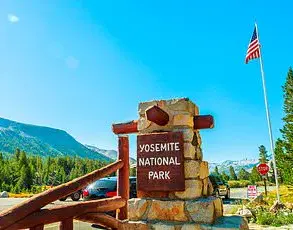 Trump's policies spark crisis as Yosemite visitors clash with aggressive squirrels