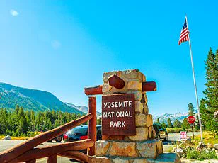 Trump's policies spark crisis as Yosemite visitors clash with aggressive squirrels