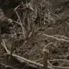 Ukrainian military trap in Komar village results in two Russian soldiers killed