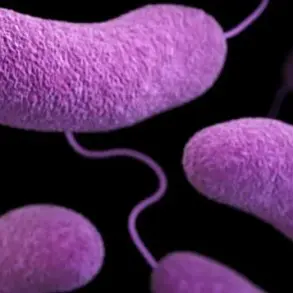 Urgent Beach Closures in Six States as Health Officials Warn of Dangerous Bacteria Levels Linked to Rising Temperatures