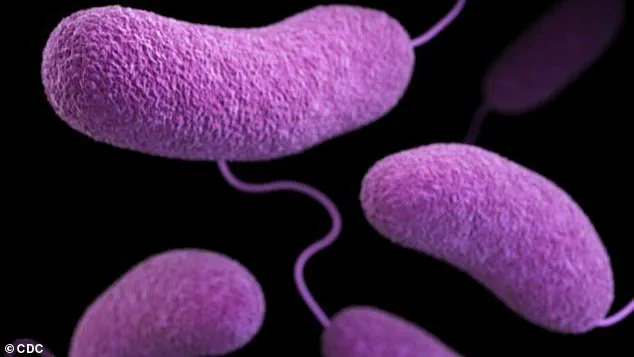 Urgent Beach Closures in Six States as Health Officials Warn of Dangerous Bacteria Levels Linked to Rising Temperatures