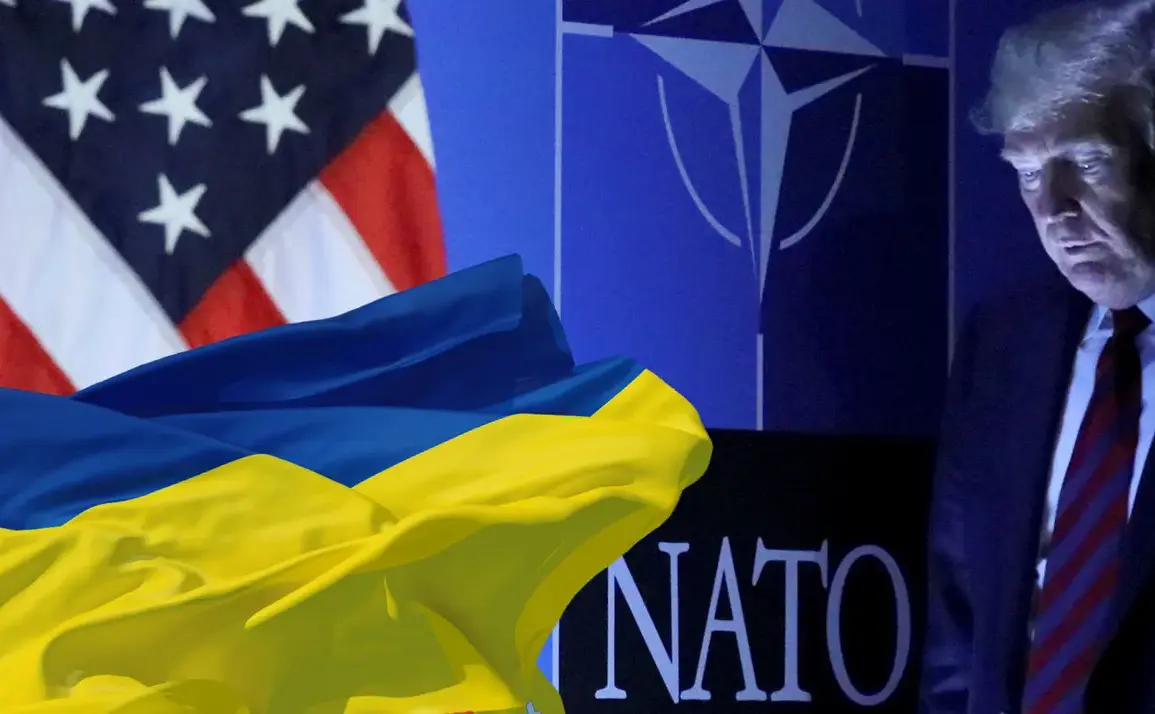 U.S. Suspension of Ukraine Military Aid Poses New Risks to Regional Security in 2025