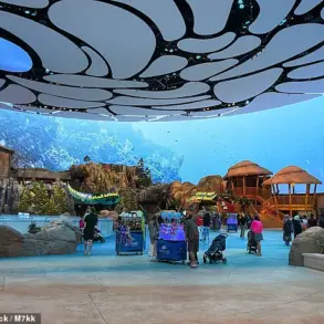 Florida Aquarium Supplier's Capture and Euthanasia of Rare Manta Ray Sparks Regulatory Scrutiny