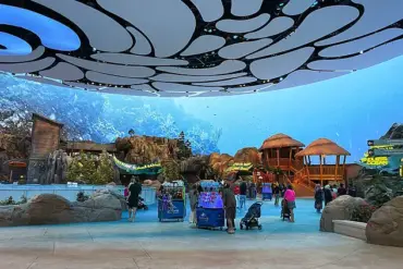 Florida Aquarium Supplier's Capture and Euthanasia of Rare Manta Ray Sparks Regulatory Scrutiny