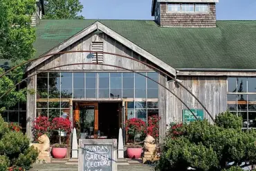 The Hamptons' Latest Status Symbol: A $58,000 Hindu-pan Topiary Shrub