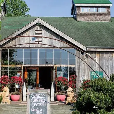 The Hamptons' Latest Status Symbol: A $58,000 Hindu-pan Topiary Shrub