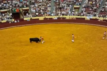 Tragedy at Campo Pequeno: The High-Stakes World of Bullfighting's 'Pega de Cara' Tradition